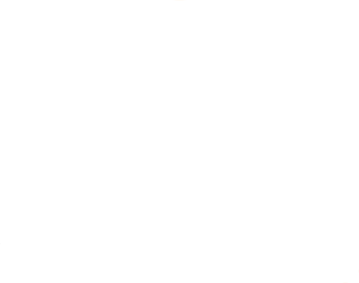 ShadeTree Consulting